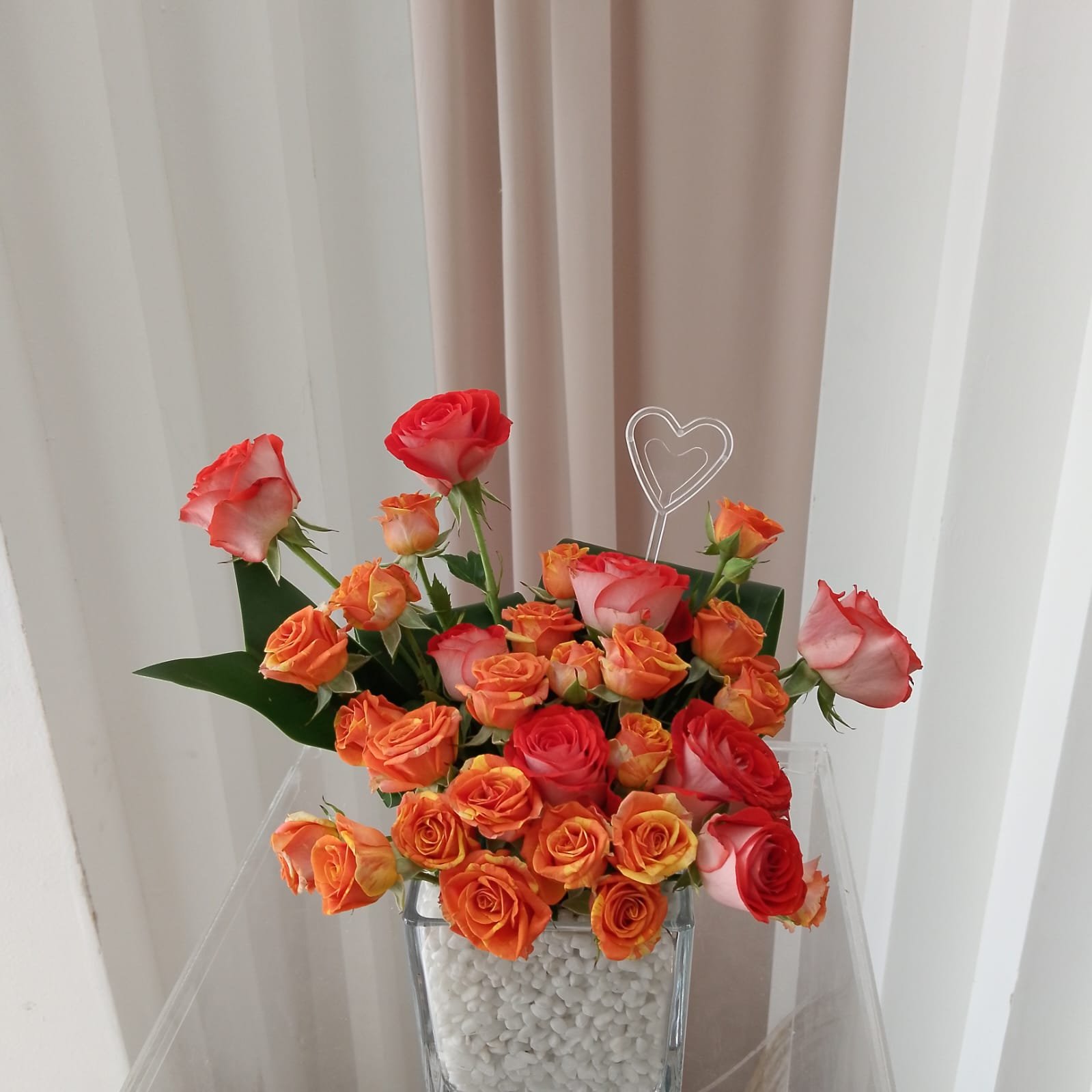 2337e082-3c01-49ad-b446-61b94d55d672.jpeg المزهريه الاورنجيه - الصورة 1