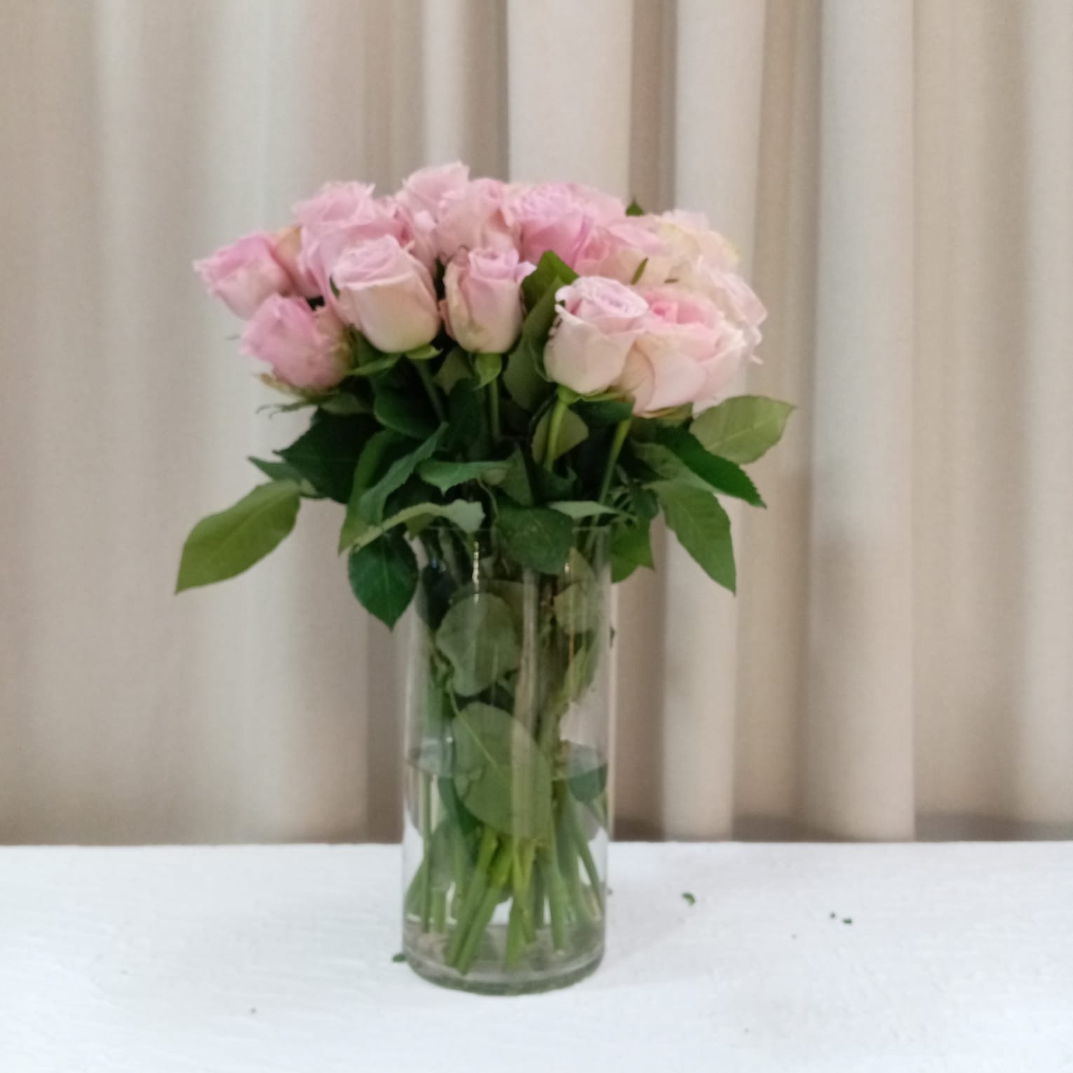 8148621a-ede8-4ef0-bbc7-96f1ce8fcccb.jpeg مزهرية لولو كاتي - الصورة 1