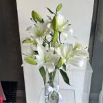 مزهرية الليليوم