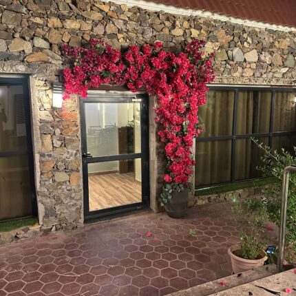 تنسيق مداخل الاستراحات