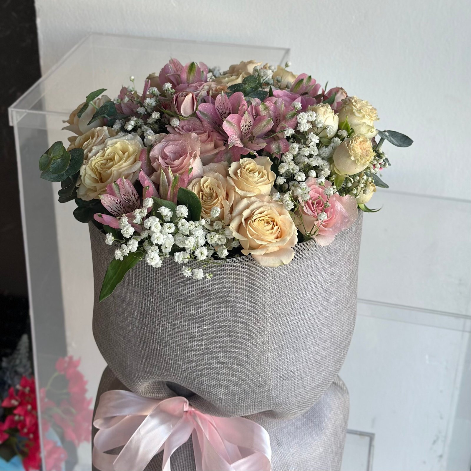 IMG_2107-1-scaled-1.jpeg باقة نيوزلند - الصورة 1